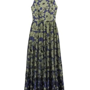 Banana Republic Silky Floral Fit & Flare Maxi Dress